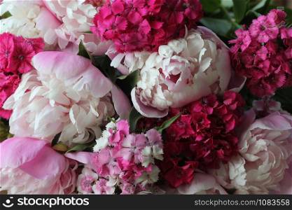 Beautiful flowers, peonies. Bouquet of pink peony background
