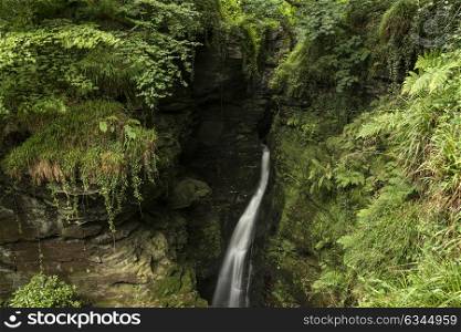 Beautiful flowing waterfall with magical fairy tale feel in lush green forest setting