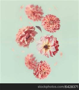 Beautiful flying flowers and pastel pink petals at light mint background, creative floral layout, vertical