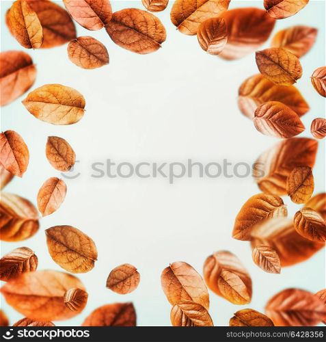 Beautiful flying gold autumn leaves background , frame . Creative layout, nature concept
