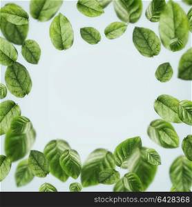 Beautiful flying green leaves background , frame . Creative layout, nature concept