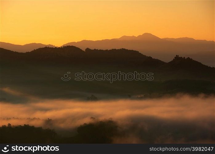 Beautiful fog and golden light in the morning forest with green mountains. Baan Jabo, Mae Hong Son, Thailand.. Fog in forest.