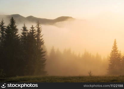 Beautiful foggy landscape in the mountains. Fantastic morning glowing by sunlight.
