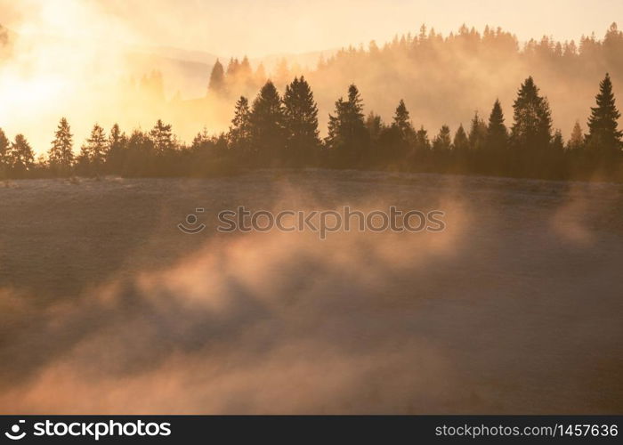 Beautiful foggy landscape in the sunrise mountains. Fantastic morning foggy autumn hills glowing by sunlight.