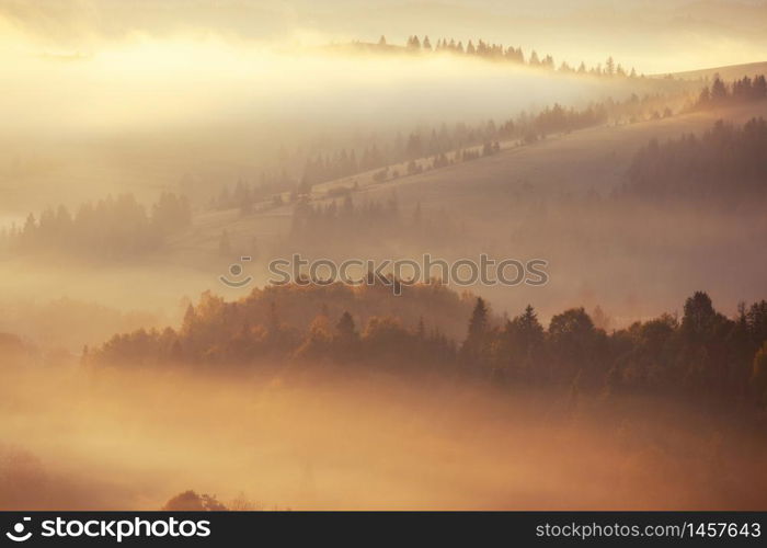 Beautiful foggy landscape in the sunrise mountains. Fantastic morning foggy autumn hills glowing by sunlight.