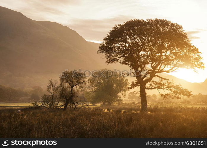 Beautiful foggy misty Fall sunrise over countryside surrounding Crummock Water in Lake District in England