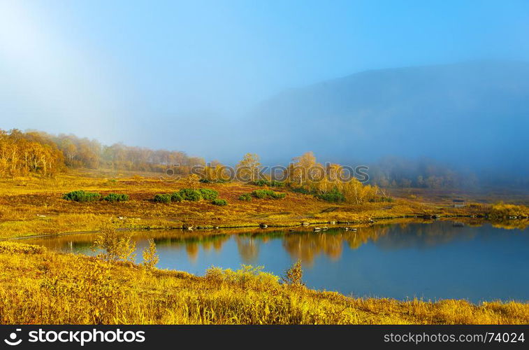 Beautiful forest lake in the autumn day