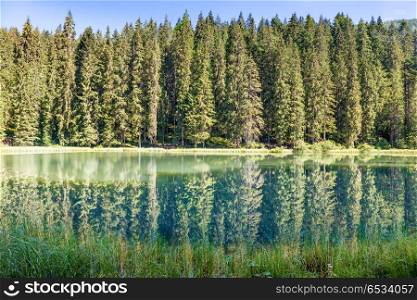 Beautiful forest lake in the mountains with blue water and morning light. Forest lake in the mountains