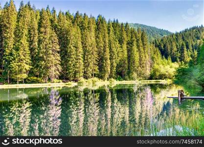 Beautiful forest lake in the mountains with blue water and morning light