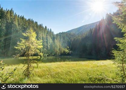 Beautiful forest lake in the mountains with blue water, morning light and shining sun