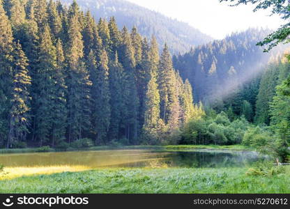 Beautiful forest lake in the mountains with blue water, morning light and shining sun