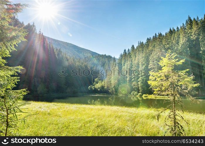 Beautiful forest lake in the mountains with blue water, morning light and shining sun. Beautiful forest lake in the mountains