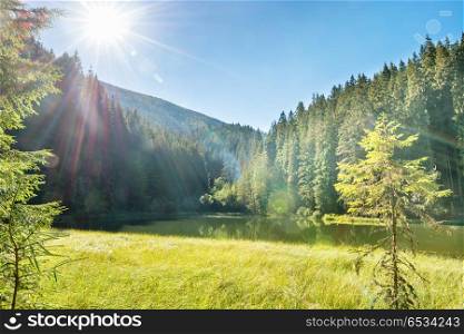 Beautiful forest lake in the mountains with blue water, morning light and shining sun. Beautiful forest lake in the mountains