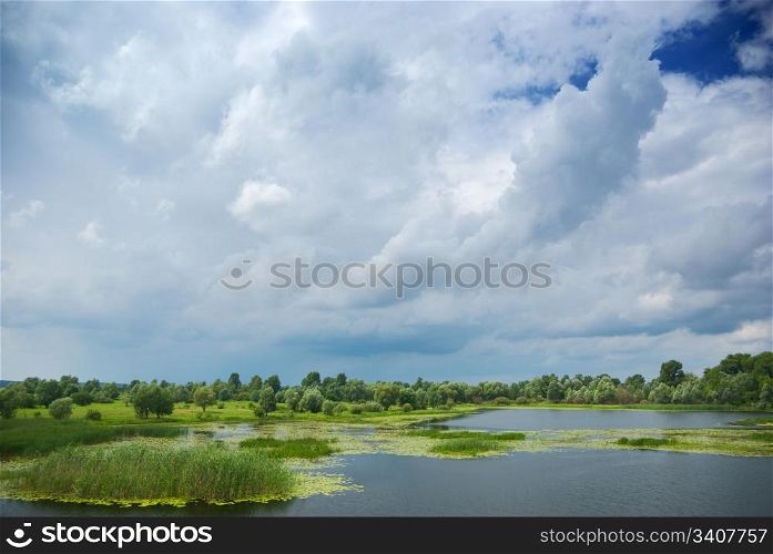 beautiful Forest lake under blue cloudy sky