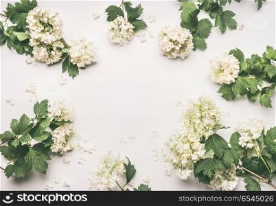 Beautiful frame layout with flowers on white background, top view
