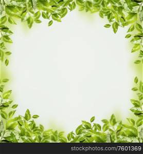Beautiful frame or overlay made with green leaves and branches. Spring and summer nature background. Layout