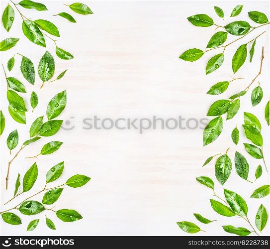 Beautiful Frame or pattern of Green leaves with water drops on white wooden background, top view. Ecology, organic or nature background