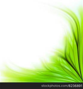 Beautiful fresh green grass flower border background isolated on white