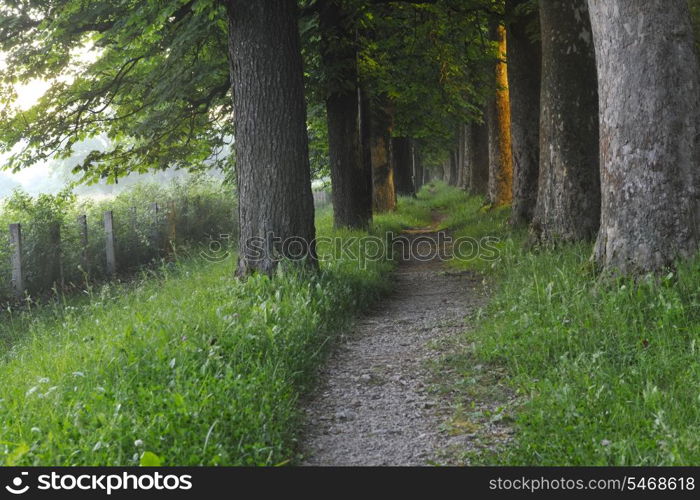 beautiful fresh morning with sun rays and dramatic light