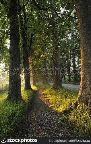 beautiful fresh morning with sun rays and dramatic light