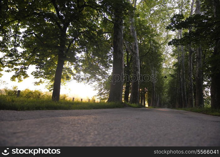 beautiful fresh morning with sun rays and dramatic light