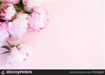 Beautiful fresh pink peony flowers and buds on pink table, top view and flat lay background. Fresh peony flowers