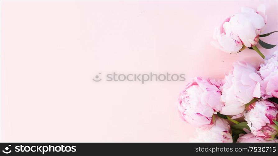 Beautiful fresh pink peony flowers and buds on pink table, top view and flat lay floral background. Fresh peony flowers