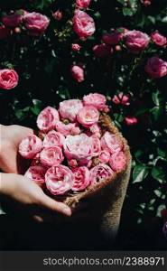 Beautiful fresh roses in hand