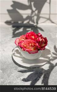 Beautiful fresh roses of pink color with drops of dew in a white scab on a gray concrete background. Decorating the dining table. Beautiful fresh roses of pink color with drops of dew in a white scab on a gray concrete background