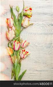 Beautiful fresh tulips on light shabby chic background with bokeh, top view, border
