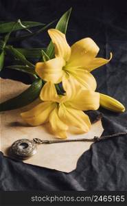 beautiful fresh yellow blooms dew near craft paper old pocket watch