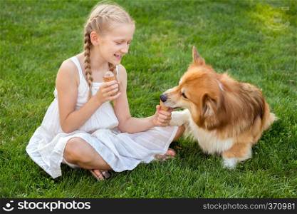 beautiful fun blond girl and corgi fluffy eat ice cream on the lawn on a sunny summer day