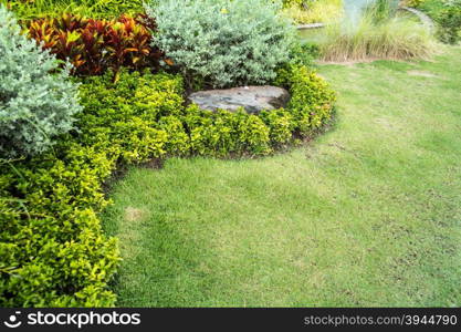 Beautiful Garden And Romantic Green Atmosphere