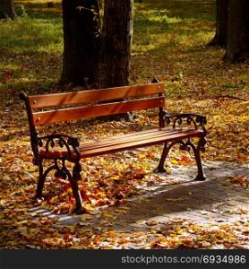 Beautiful garden bench in autumn park illuminated by sun. Bright fallen leaves cover ground.