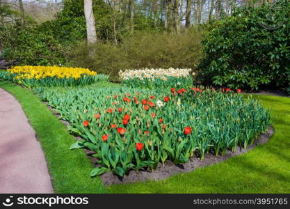 Beautiful garden in spring. Springtime