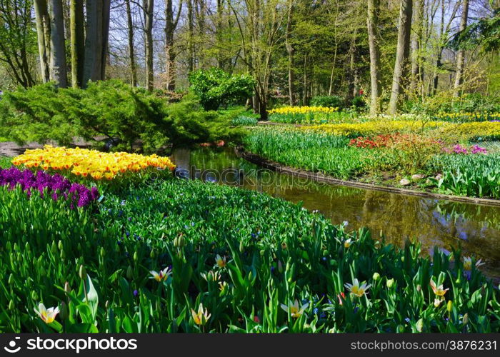 Beautiful garden. Park in The Spring. Spring landscape.