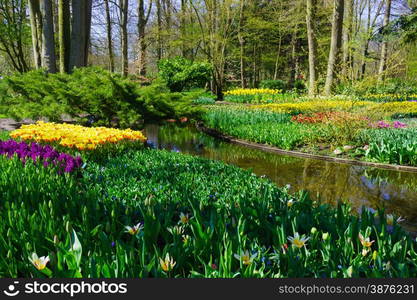 Beautiful garden. Park in The Spring. Spring landscape.