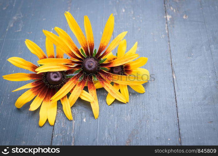 Beautiful Garden yellow flowers on old dark wooden table background. Backdrop with copy space. Beautiful Garden flowers on dark wooden table background. Backdrop with copy space