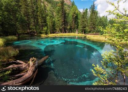 Beautiful Geyser lake with thermal springs that periodically throw blue clay and silt from the ground. Altai mountains, Russia. Geyser lake with thermal springs