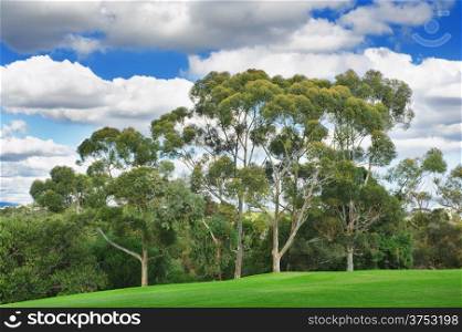 beautiful golf course-&#xA;landscape of a green field with trees and a bright blue sky