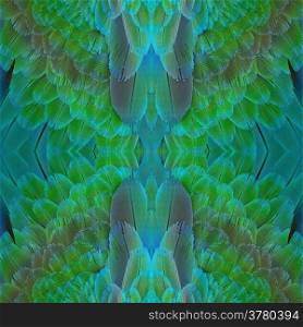 Beautiful green and blue bird feathers, Harlequin Macaw feathers