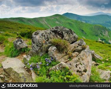 Beautiful green Carpathian mountains in the daytime. Carpathian montains view