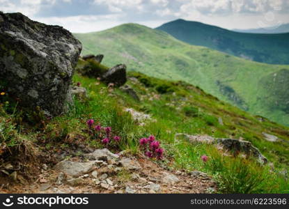 Beautiful green Carpathian mountains in the daytime. Carpathian montains view