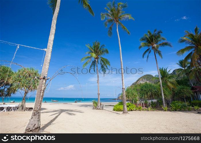 Beautiful green coconut palm trees at tropical beach