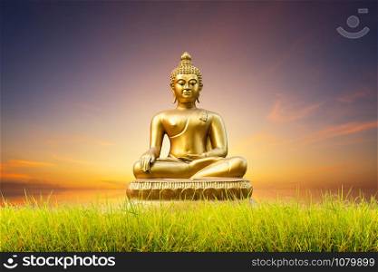 Beautiful green cornfield of Golden Buddha statue on blue dramatic sunset sky texture background.