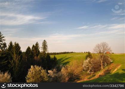 Beautiful green field in rural landscape with spring colors