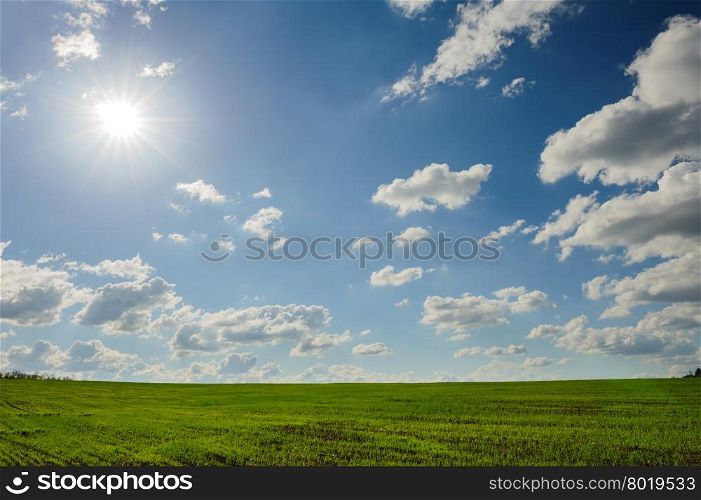 beautiful green field landscape with clouds and sun. green field and clouds