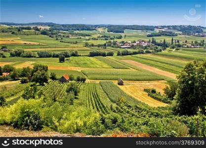 Beautiful green landscape in Kalnik vineyard area, Prigorje region, Croatia