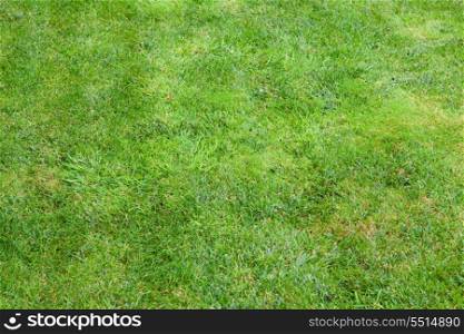 Beautiful green lawns perfectly cut for background