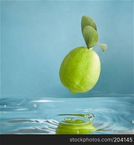Beautiful green limes sinking into water on blue background. Beautiful green limes falls into water